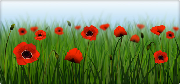 Zet de bloemetjes buiten!