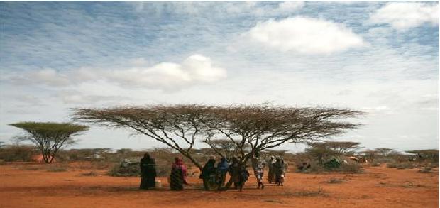 تحية إلى الصومال