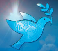 peace dove peace dove